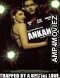 Ankahee (2006) Hindi Full Movie