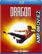 Dragon The Bruce Lee Story (1993) Hindi Dubbed Movies