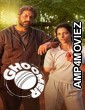 Ghoomer (2023) Hindi Movies