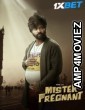 Mr Pregnant (2023) HQ Hindi Dubbed Movies
