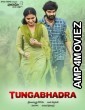 Tungabhadra (2015) UNCUT Hindi Dubbed Movie