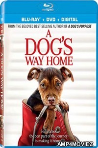A Dogs Way Home (2019) Hindi Dubbed Movie
